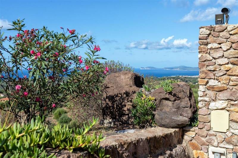 Immagine WhatsApp 2025-04-10 ore 19.10.28_d7e84729