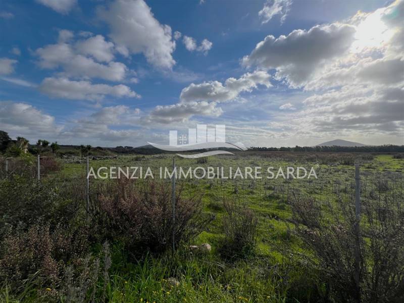 WhatsApp Image 2026-01-09 at 14.59.25 (2).jpeg