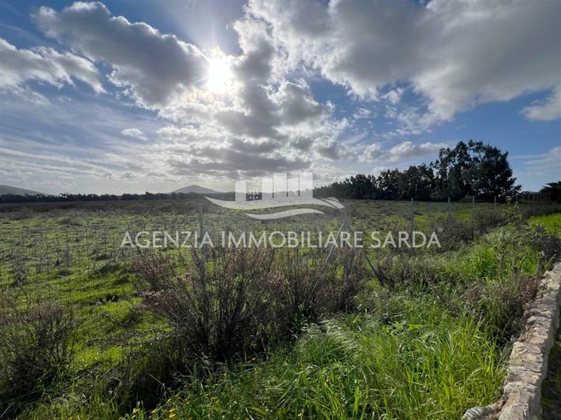 WhatsApp Image 2026-01-09 at 14.59.25.jpeg