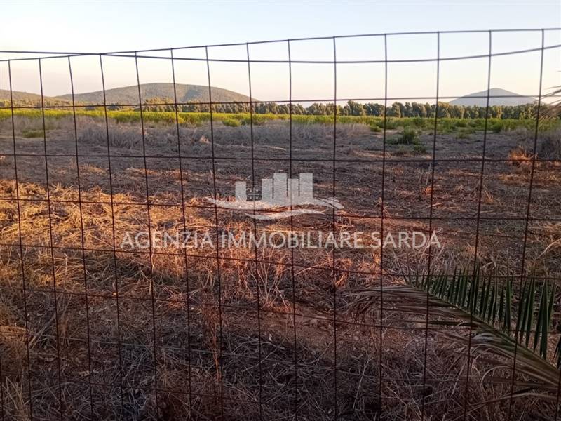 WhatsApp Image 2026-01-09 at 13.22.11.jpeg