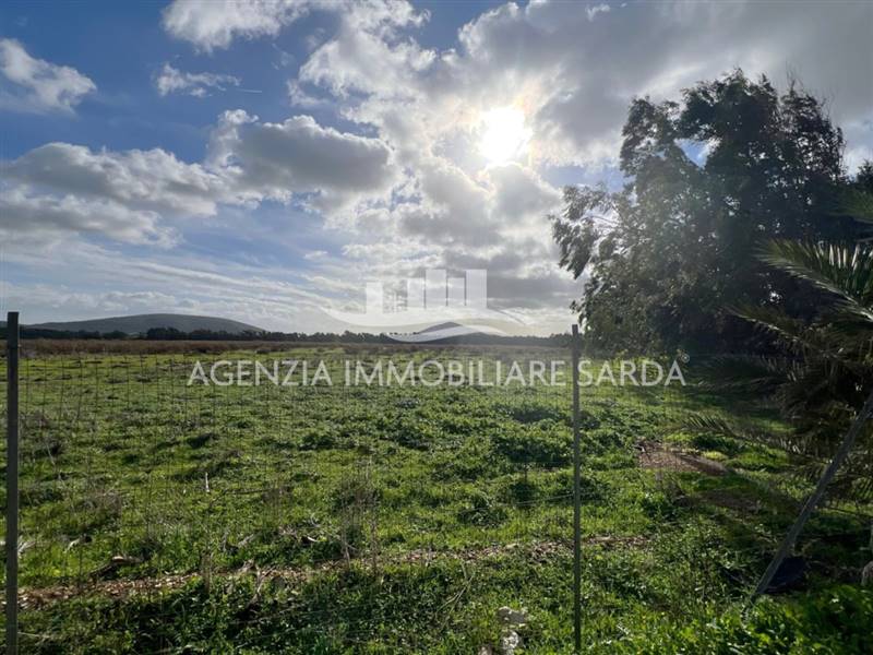 WhatsApp Image 2026-01-09 at 14.59.25 (5).jpeg