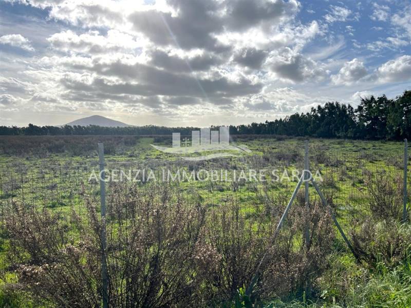 WhatsApp Image 2026-01-09 at 14.59.23.jpeg