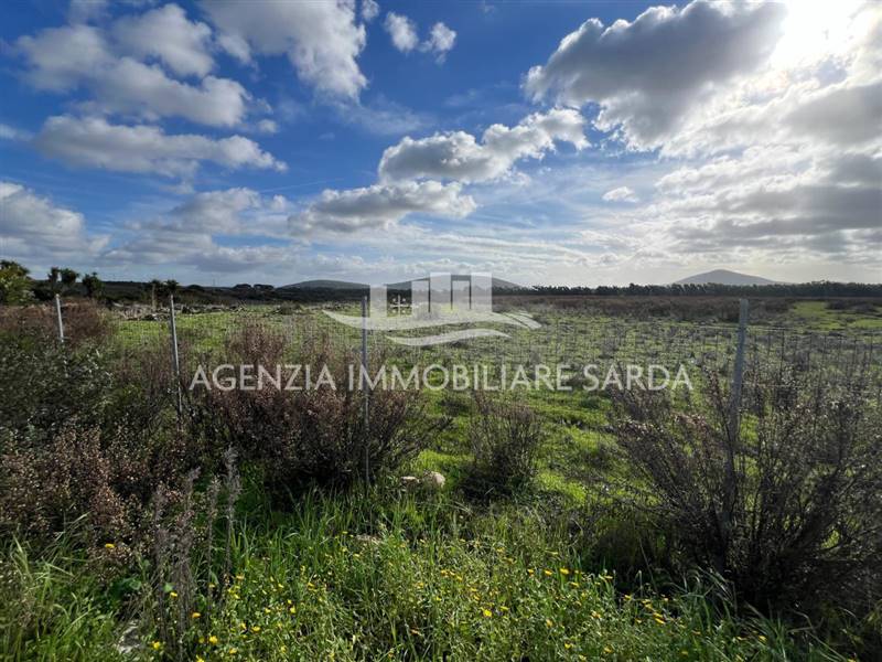 WhatsApp Image 2026-01-09 at 14.59.25 (1).jpeg