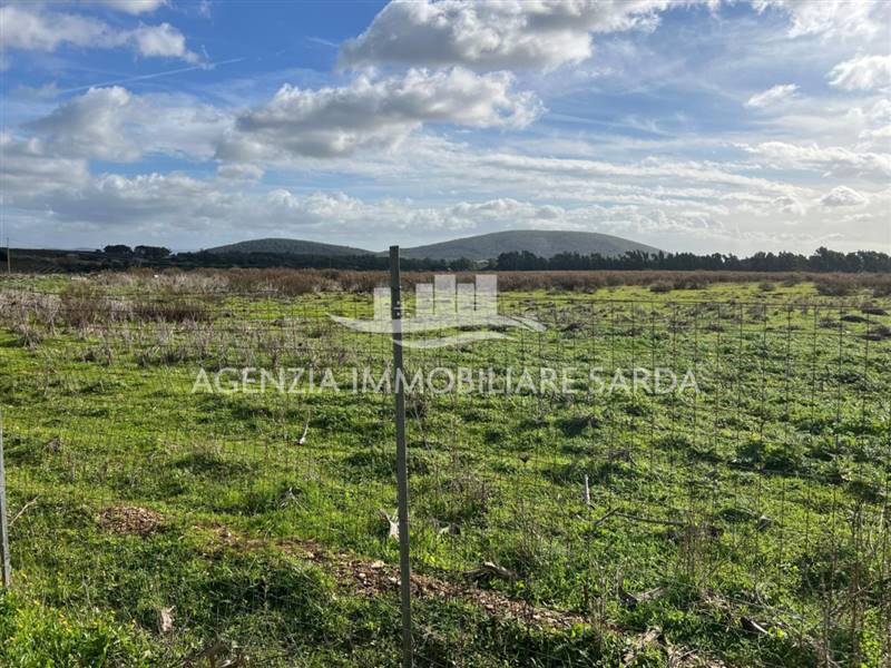 WhatsApp Image 2026-01-09 at 14.59.25 (3).jpeg