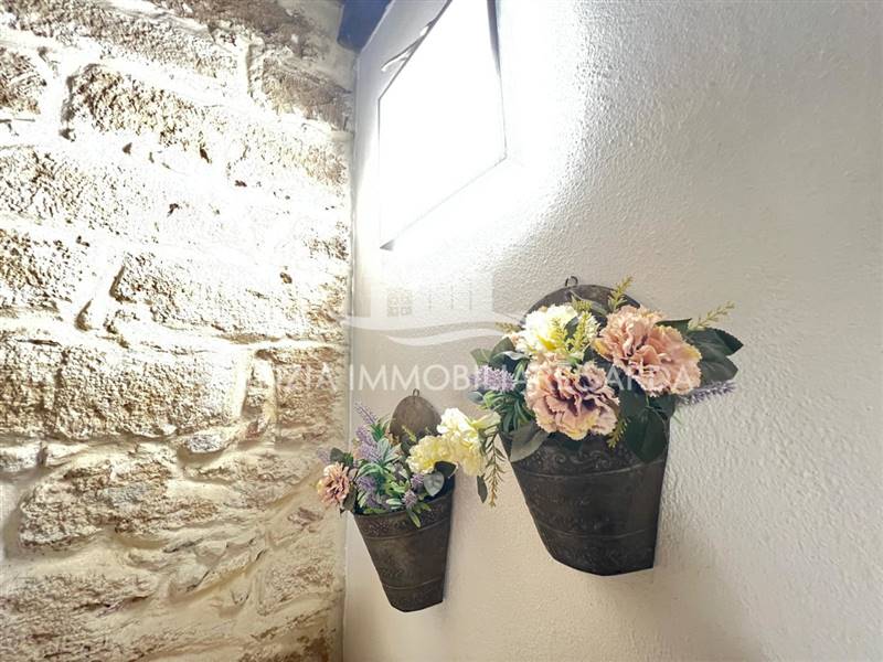 WhatsApp Image 2026-01-12 at 11.48.42 (9).jpeg