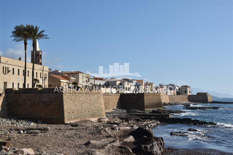 WhatsApp Image 2025-12-16 at 14.46.24 (3).jpeg