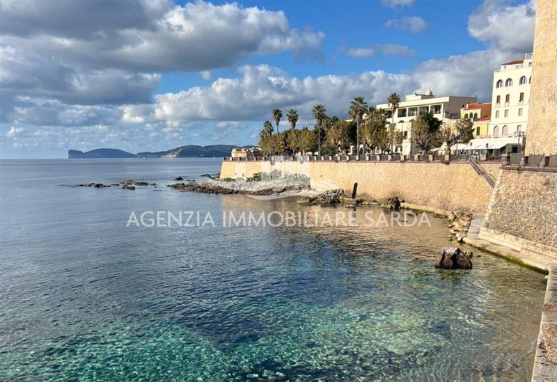 WhatsApp Image 2025-12-16 at 14.46.26 (3).jpeg