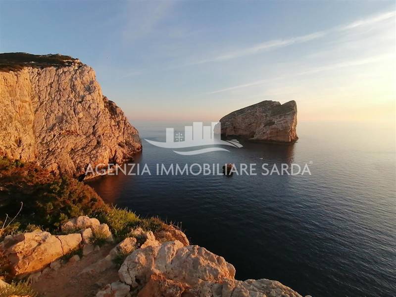 WhatsApp Image 2025-12-16 at 14.46.21.jpeg