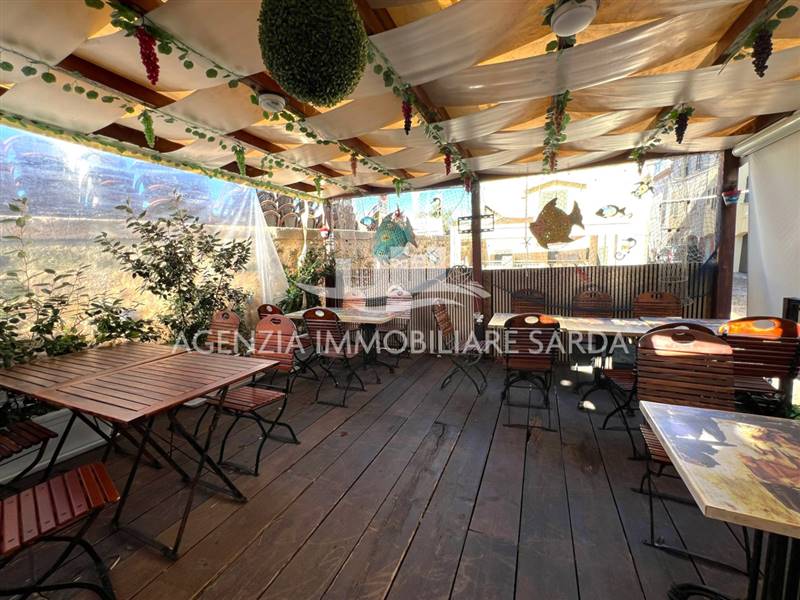 WhatsApp Image 2026-01-14 at 18.20.17.jpeg