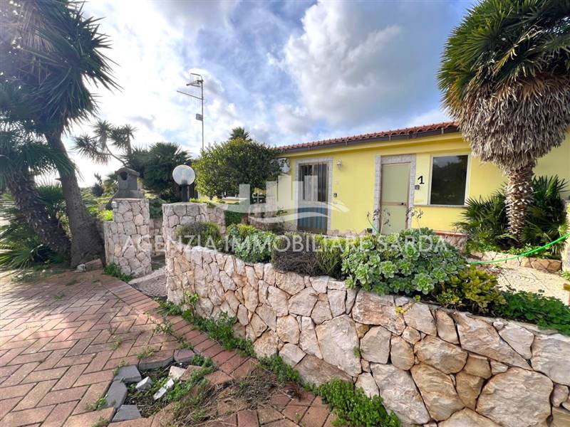 WhatsApp Image 2026-01-13 at 17.41.16.jpeg