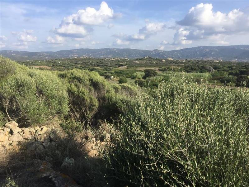 WhatsApp Image 2026-02-06 at 18.38.40 (2).jpeg