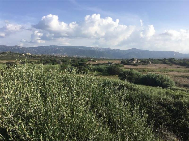 WhatsApp Image 2026-02-06 at 18.38.39 (2).jpeg