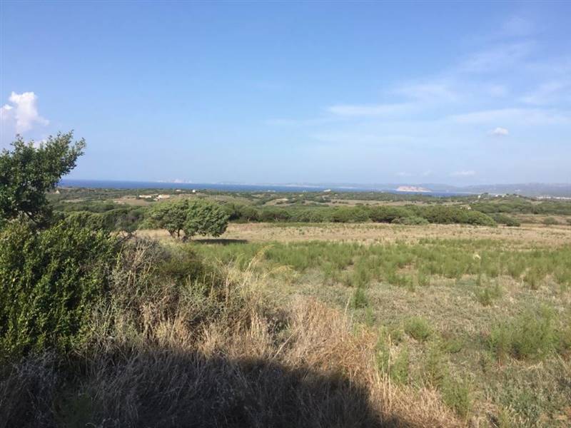 WhatsApp Image 2026-02-06 at 18.38.40 (1).jpeg