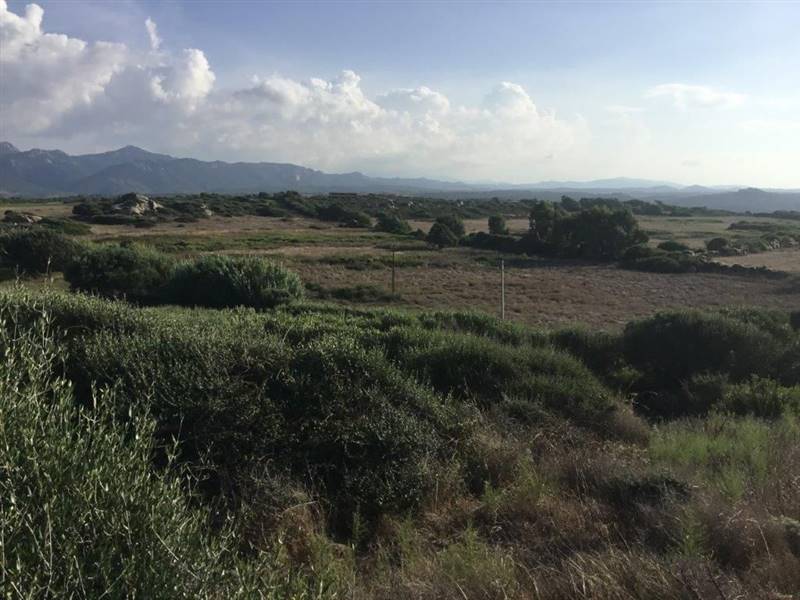 WhatsApp Image 2026-02-06 at 18.38.40.jpeg