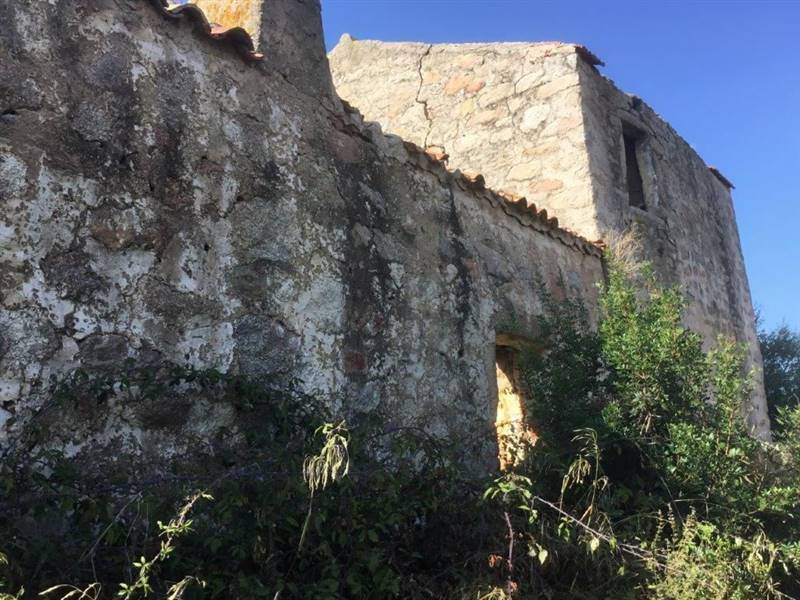 WhatsApp Image 2026-02-06 at 18.38.40 (3).jpeg