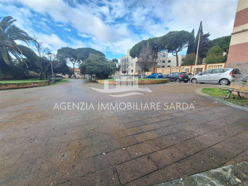 WhatsApp Image 2026-02-17 at 11.23.52 (2).jpeg