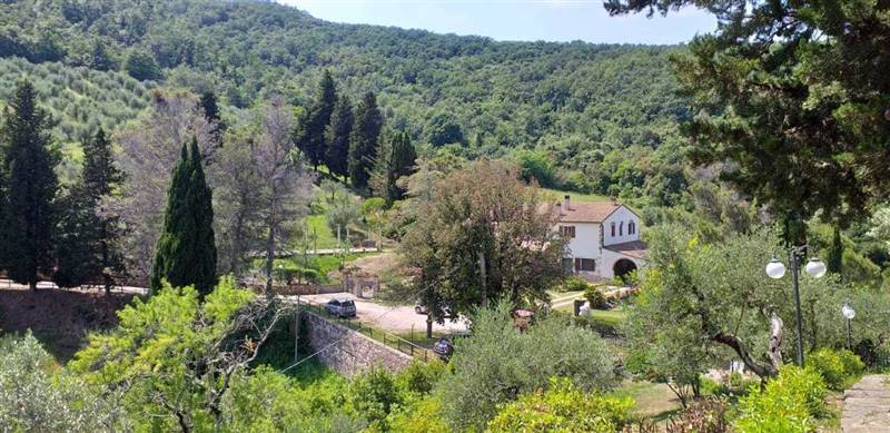 PHOTO-2023-07-28-11-14-30 (1).jpg