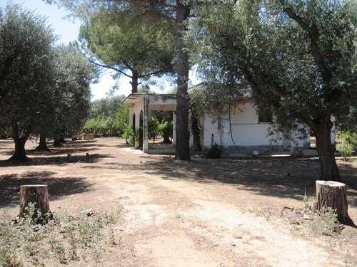 prospettiva laterale 1