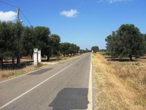 veduta della strada Provinciale Cellino San Marco-