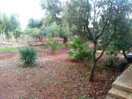 veduta giardino-terreno