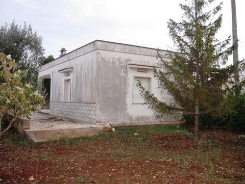 parte esterna 3 con piante ornamentali