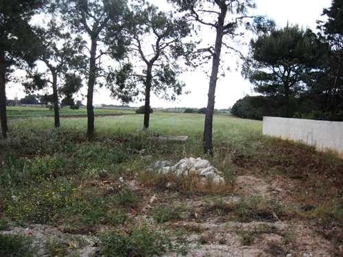 una parte dell'ambiente esterno