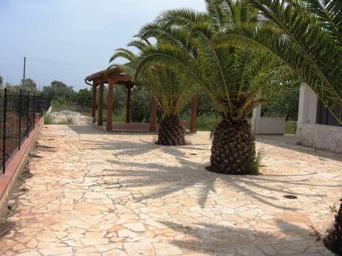 caratteristica esterna (piante ornamentali)