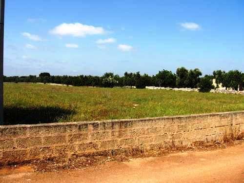 vista del terreno 2