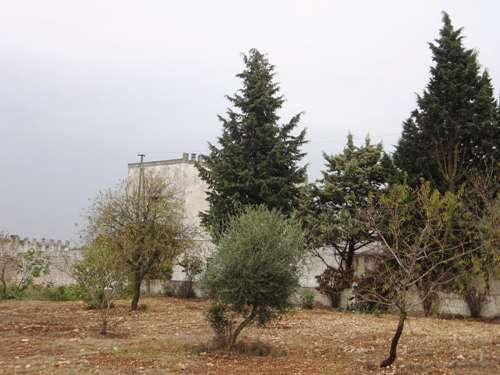 veduta caratteristica esterna