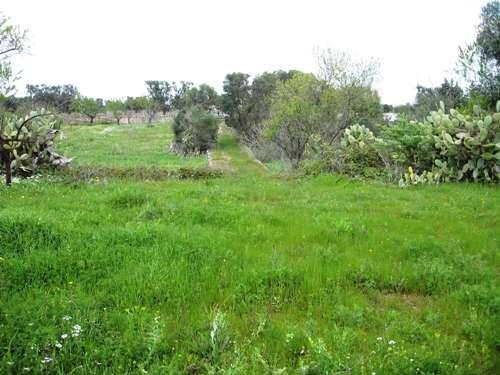 ambiente circostante