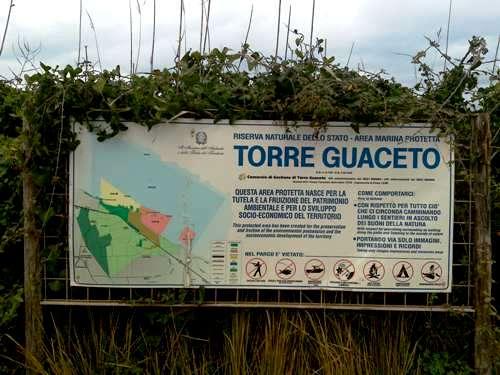 vicinanze Torre Guaceto