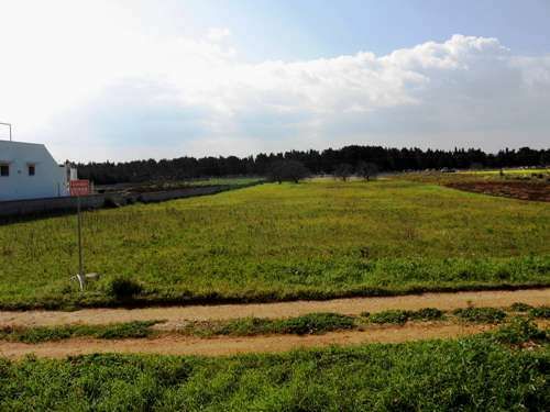 stradina di accesso 1