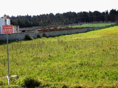 veduta terreno + ambiente circostante