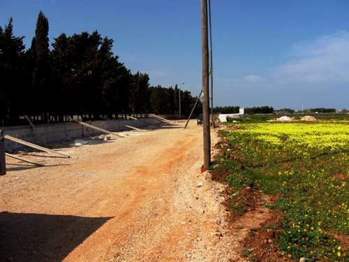 stradina di accesso 2